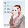 LED face mask Reach FC1