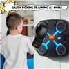 Musical boxing trainer Reach MZ4