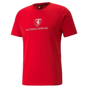 Vyriški marškinėliai su trumpomis rankovėmis Puma 533750 02 Raudona (L)