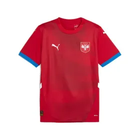 Спортивная футболка с коротким рукавом, мужская Puma Serbia 2024