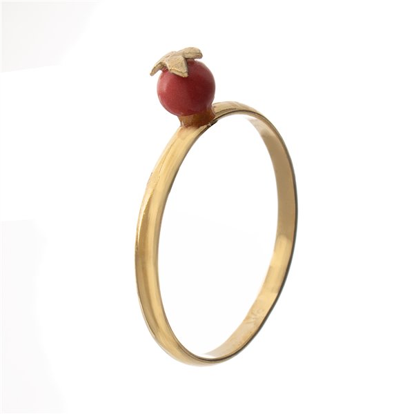 RING CRISTIAN LAY WOMAN 54723120 (12 )