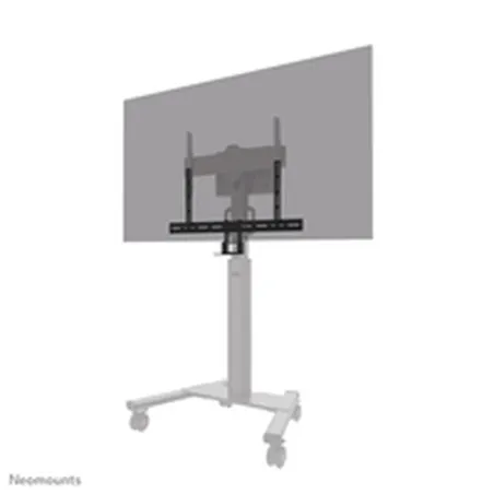Lauatugi Ekraanile Neomounts AV50-500BL 43" 110"