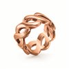 RING FOLLI FOLLIE WOMAN 1R15T010R-52 (52 )