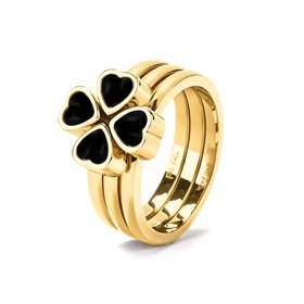 RING FOLLI FOLLIE WOMAN 2R19T001YA-52 (52 )
