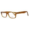 GLASSES GANT MAN GRGATESLTO-54 (Lens/Bridge/Temple) 54/17/140 mm)