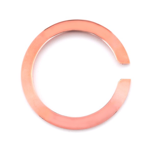 WATCH GLAM ROCK UNISEX GC3044CR (40MM)