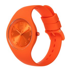 WATCH ICE WOMEN IW017910 (36 MM)