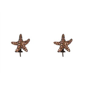 PENDING LANCASTER WOMAN JLA-EAR-STAR4 (1,2MM )