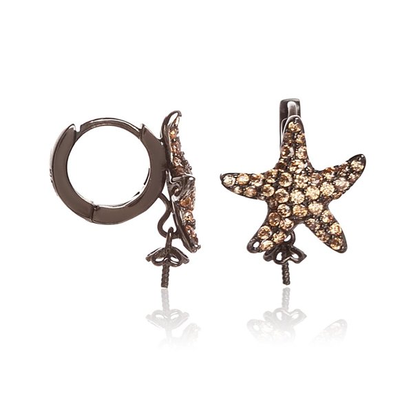 PENDING LANCASTER WOMAN JLA-EAR-STAR4 (1,2MM )