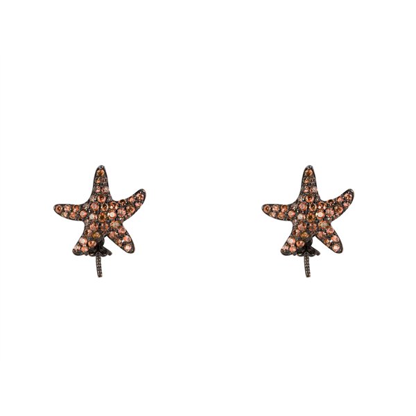 PENDING LANCASTER WOMAN JLA-EAR-STAR4 (1,2MM )