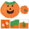 Halloweeni kõrvitsakostüüm Springos HA5224