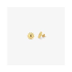 EARRINGS RADIANT WOMEN RY000153 (1CM )