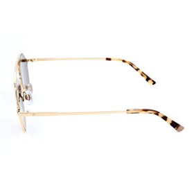 SUNGLASSES WEB EYEWEAR UNISEX WE0198-32G (Lens/Bridge/Temple) 57/15/145 mm)