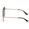 SUNGLASSES WEB EYEWEAR WOMAN WE0219-52Z (Lens/Bridge/Temple) 55/19/140 mm)