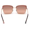 SUNGLASSES WEB EYEWEAR WOMAN WE0219-72Z (Lens/Bridge/Temple) 55/19/140 mm)