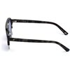 SUNGLASSES WEB EYEWEAR MAN WE0224-05V (Lens/Bridge/Temple) 52/21/145 mm)