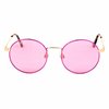 SUNGLASSES WEB EYEWEAR WOMAN WE0254-32S (Lens/Bridge/Temple) 49/15/145 mm)