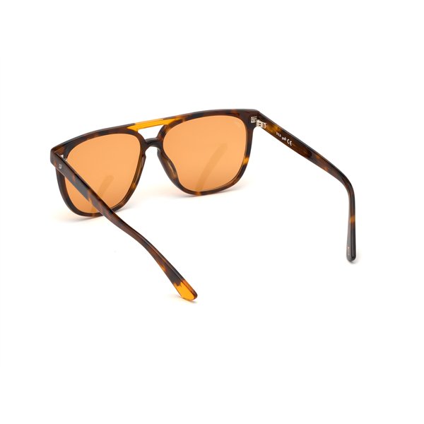 SUNGLASSES WEB EYEWEAR Unisex WE0263-5956J (Lens/Bridge/Temple) 59/13/145 mm)