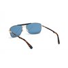 SUNGLASSES WEB EYEWEAR MAN WE0274-6032V (Lens/Bridge/Temple) 60/16/140 mm)