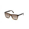 SUNGLASSES WEB EYEWEAR MAN WE0279-5652G (Lens/Bridge/Temple) 56/19/145 mm)