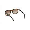 SUNGLASSES WEB EYEWEAR MAN WE0279-5652G (Lens/Bridge/Temple) 56/19/145 mm)