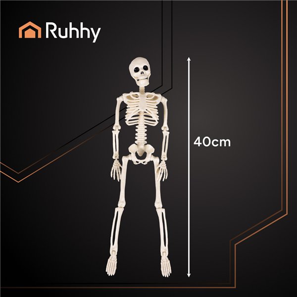 Skeletas - dekoracija 40cm Ruhhy 26027
