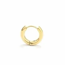 Ladies' Earrings Radiant RH000035