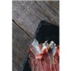 Whole Boneless Ham Linaje Negro 4 kg
