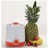 Yoghurt Maker Ariete 621