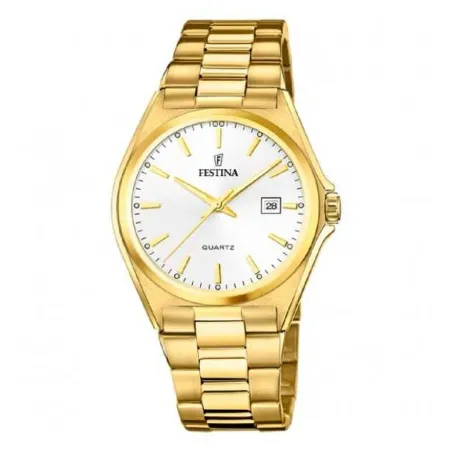 Miesten rannekellot Festina CLASSICS (Ø 40 mm)