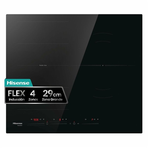 Induction Hot Plate Hisense