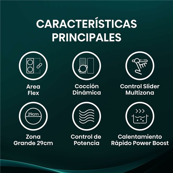 Induction Hot Plate Hisense