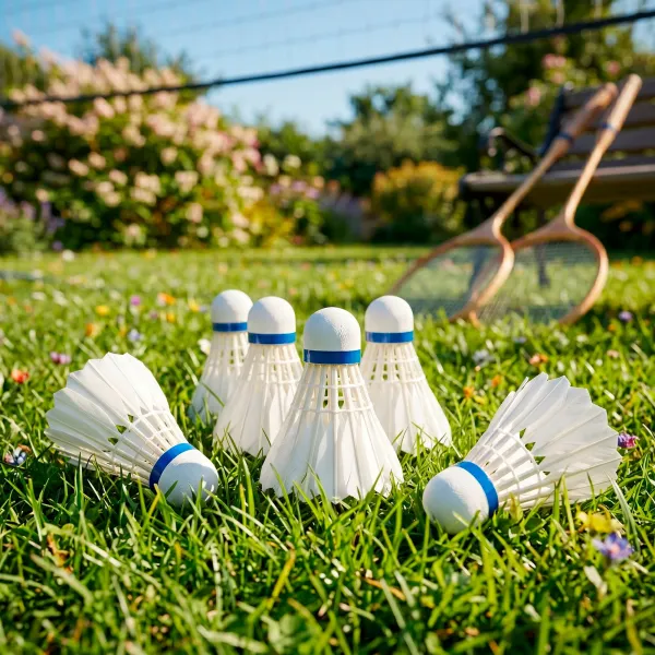 Badminton shuttlecocks Springos KG0009