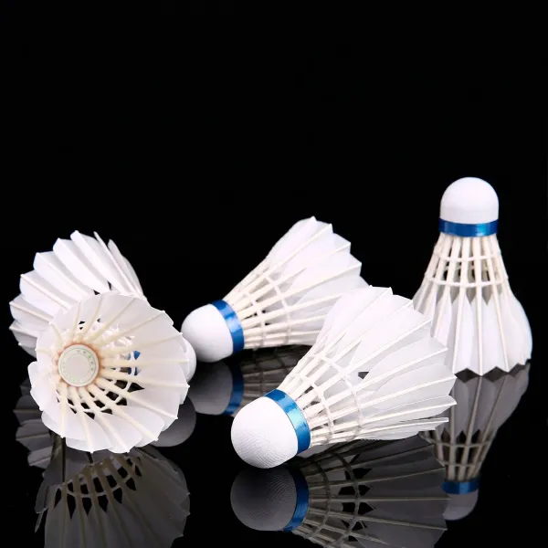 Воланы для бадминтона Springos KG0009