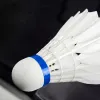 Badminton shuttlecocks Springos KG0009