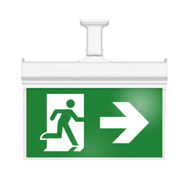 BRY-EXIT-LED-2W-HNG-IP20-WHT-EMERGENCY EXIT