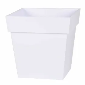 Ladle Quttin Quttin Black 33 x 10 x 8 cm (12 Units)