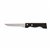 Meat Knife Amefa Campagnard Metal Bicoloured (21,5 cm) (Pack 12x)