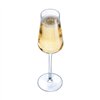 Champagne glass Chef & Sommelier Transparent Glass (21 cl)