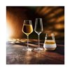 Champagne glass Chef & Sommelier Transparent Glass (21 cl)
