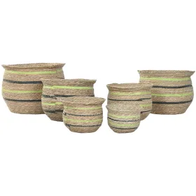 Serving Platter Pyrex Irresistible Squared Transparent Glass 6 Units 29,2 x 22,7 x 6,8 cm