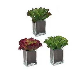 Deep Plate Ariane Terra Ceramic Beige (Ø 21 cm) (6 Units)