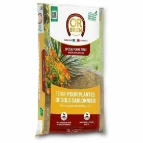 Flat Plate Anaflor Barro Anaflor Brown Baked clay Meat (8 Units)
