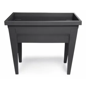Flat plate Ariane Rock Ceramic Black (Ø 31 cm) (6 Units)