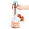 Hand-held Blender Dcook Gallery White 600 W