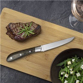 Meat Knife Set Amefa Achille Metal 23 x 2,4 x 1,5 cm 6 Units