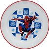 Bowl Spider-Man CZ11291