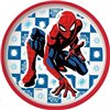 Plate Spider-Man CZ11297