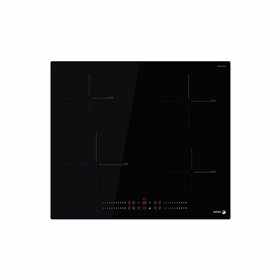 Induction Hot Plate Fagor