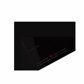 Induction Hot Plate Fagor